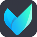 Vidmore Video Converter icon